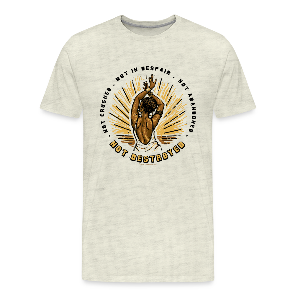 not destroyed unisex tee - heather oatmeal