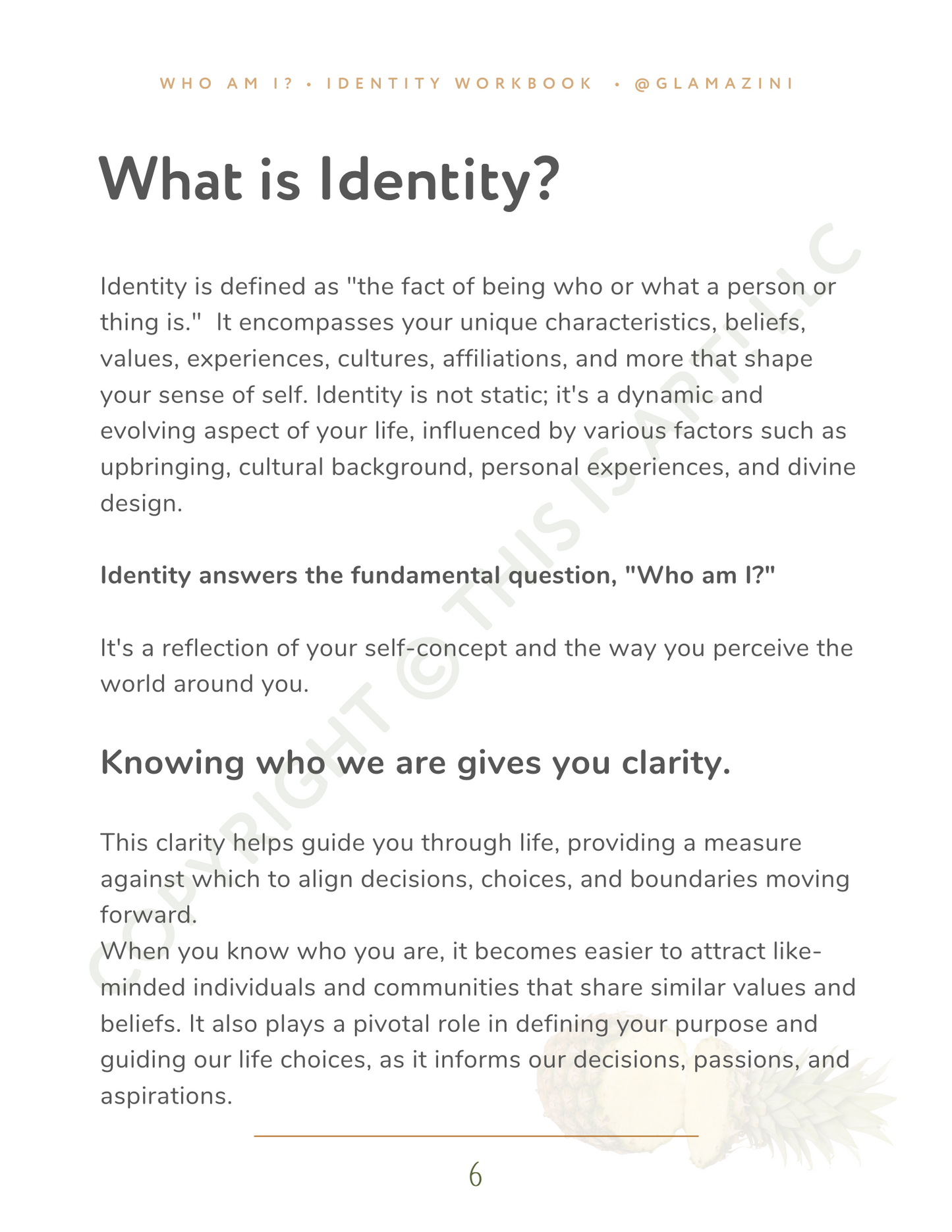 who am I? • essential identity workbook  • ebook