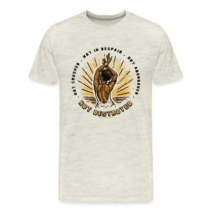not destroyed unisex tee - heather oatmeal
